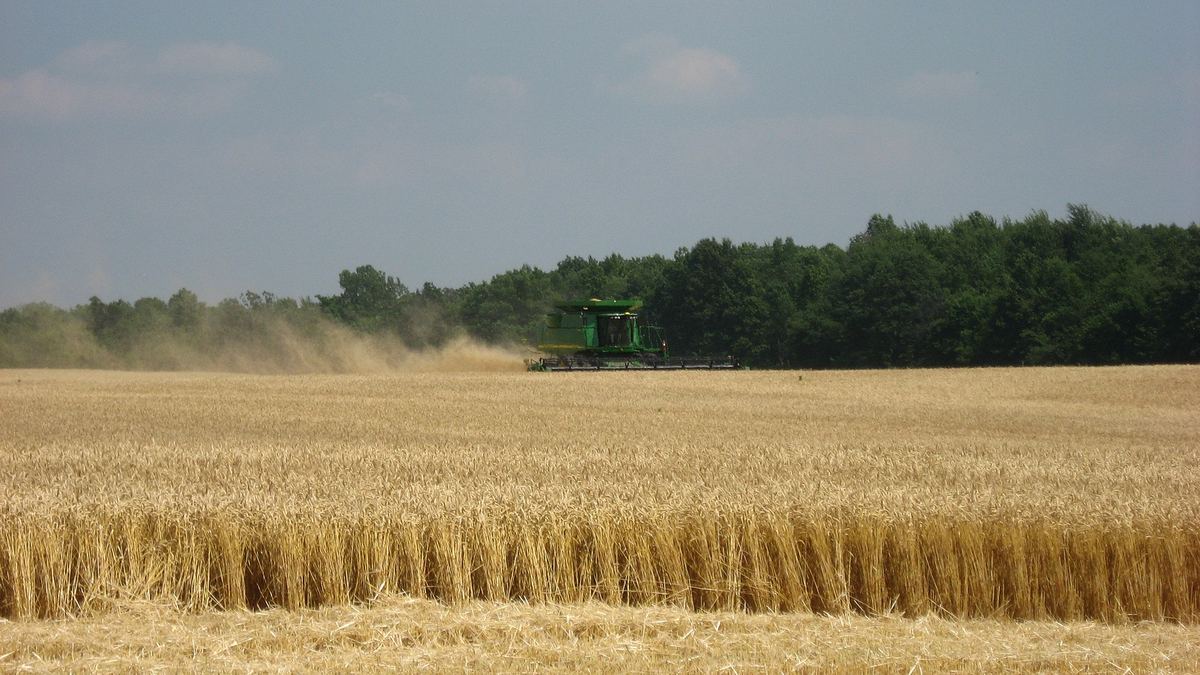 Food & Agricultural Products
